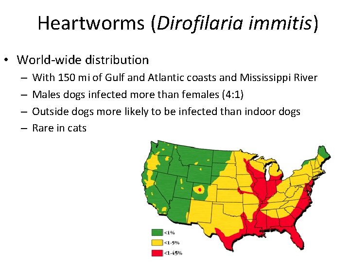 Heartworms (Dirofilaria immitis) • World-wide distribution – – With 150 mi of Gulf and