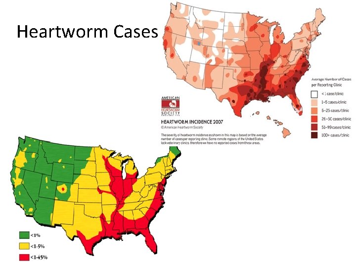 Heartworm Cases 