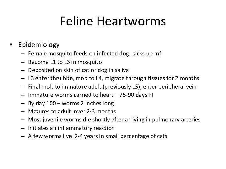 Feline Heartworms • Epidemiology – – – Female mosquito feeds on infected dog; picks