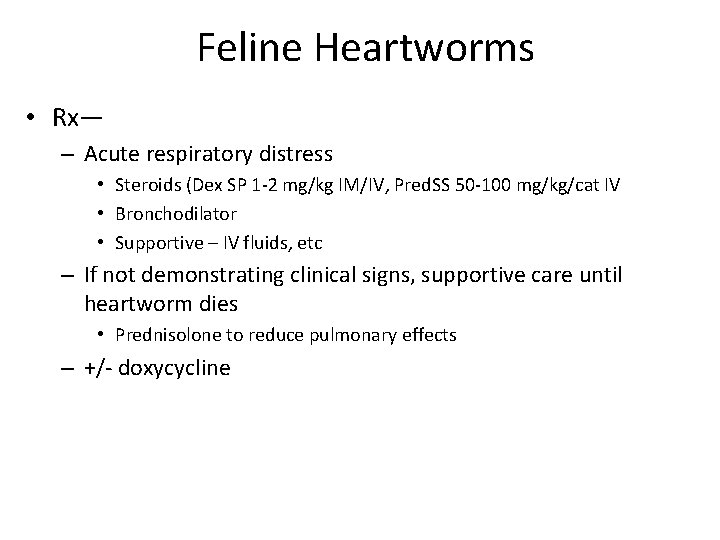 Feline Heartworms • Rx— – Acute respiratory distress • Steroids (Dex SP 1 -2