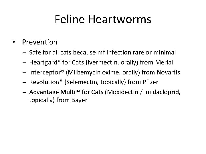 Feline Heartworms • Prevention – – – Safe for all cats because mf infection