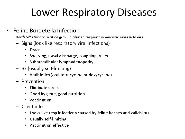 Lower Respiratory Diseases • Feline Bordetella Infection Bordetella bronchiseptica grow in ciliated respiratory mucosa;