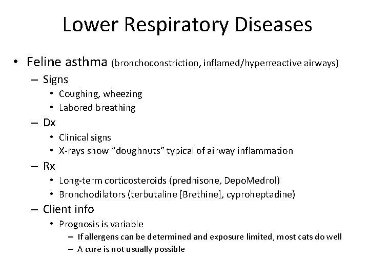 Lower Respiratory Diseases • Feline asthma (bronchoconstriction, inflamed/hyperreactive airways) – Signs • Coughing, wheezing