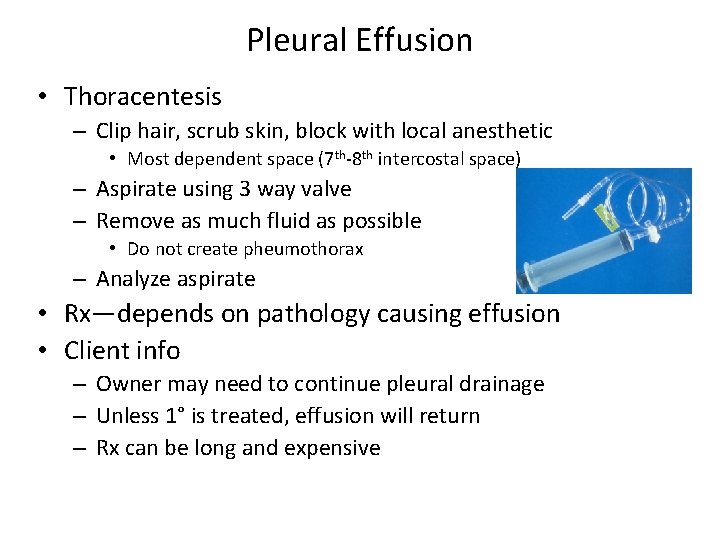 Pleural Effusion • Thoracentesis – Clip hair, scrub skin, block with local anesthetic •