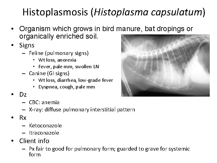 Histoplasmosis (Histoplasma capsulatum) • Organism which grows in bird manure, bat dropings or organically