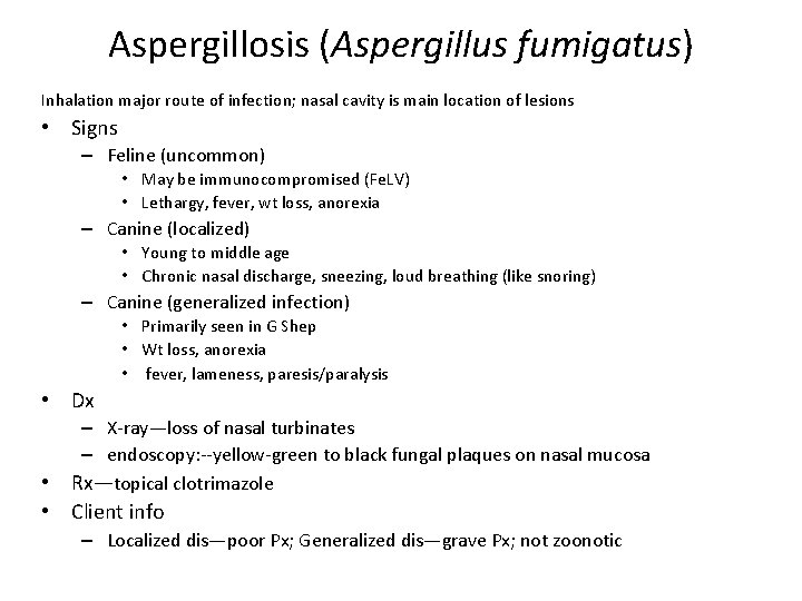 Aspergillosis (Aspergillus fumigatus) Inhalation major route of infection; nasal cavity is main location of