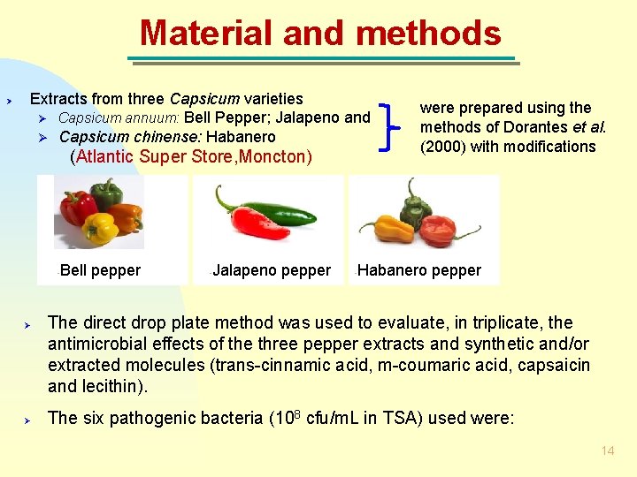 Material and methods Ø Extracts from three Capsicum varieties Ø Capsicum annuum: Bell Pepper;
