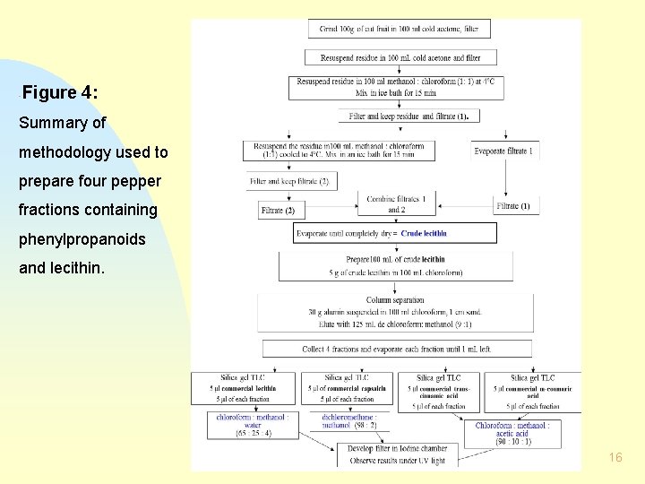 - Figure 4: Summary of methodology used to prepare four pepper fractions containing phenylpropanoids