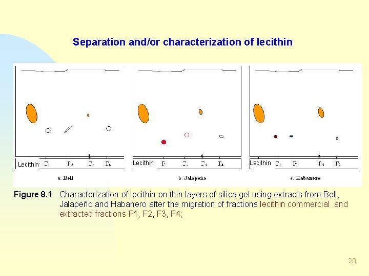 Separation and/or characterization of lecithin Lecithin - Figure 8. 1 Characterization of lecithin on