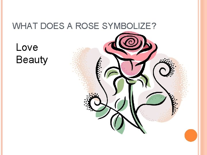 WHAT DOES A ROSE SYMBOLIZE? Love Beauty  WHAT DOES A ROSE SYMBOLIZE? Love Beauty