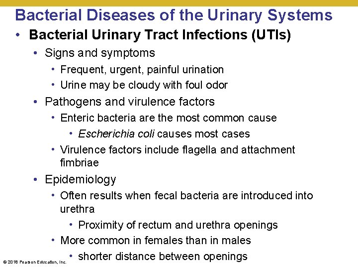 Bacterial Diseases of the Urinary Systems • Bacterial Urinary Tract Infections (UTIs) • Signs
