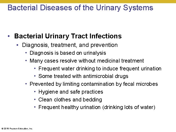 Bacterial Diseases of the Urinary Systems • Bacterial Urinary Tract Infections • Diagnosis, treatment,