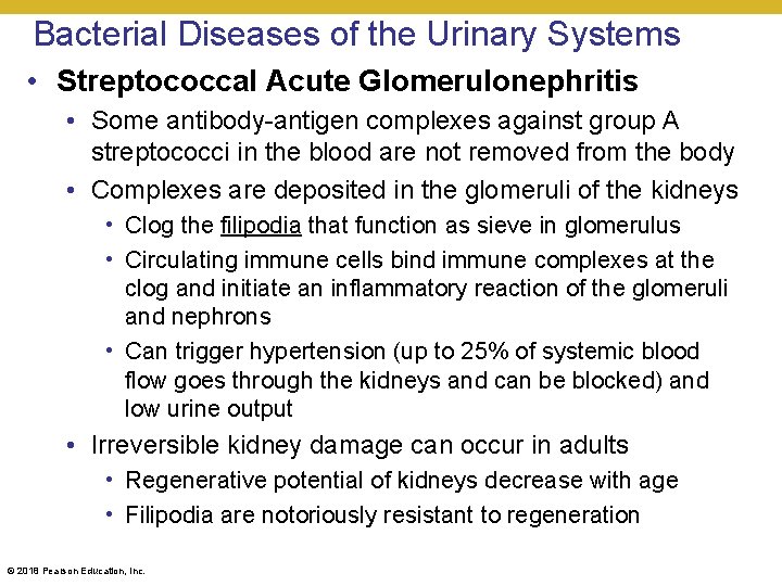 Bacterial Diseases of the Urinary Systems • Streptococcal Acute Glomerulonephritis • Some antibody-antigen complexes