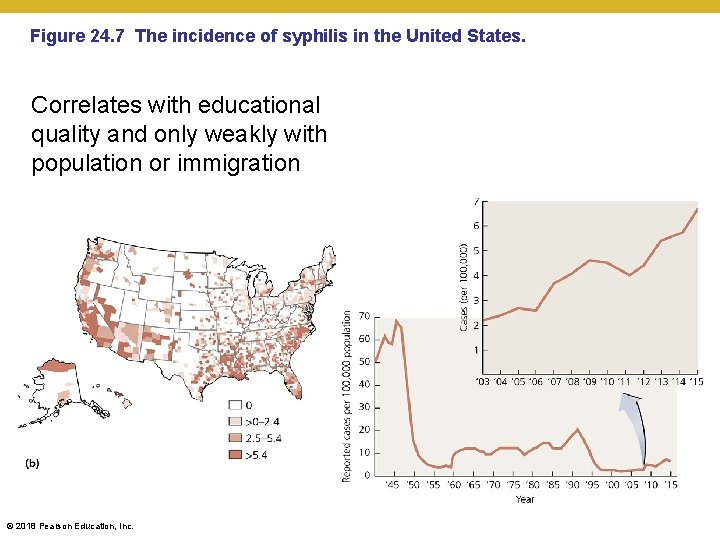 Figure 24. 7 The incidence of syphilis in the United States. Correlates with educational