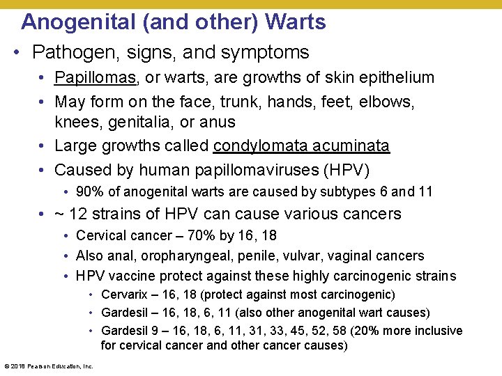 Anogenital (and other) Warts • Pathogen, signs, and symptoms • Papillomas, or warts, are