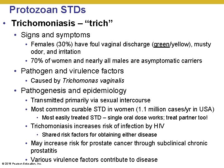 Protozoan STDs • Trichomoniasis – “trich” • Signs and symptoms • Females (30%) have