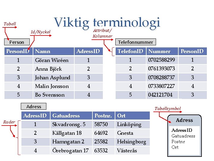 Tabell Id/Nyckel Viktig terminologi Attribut/ Kolumner Person Telefonnummer Person. ID Namn Adress. ID Telefon.