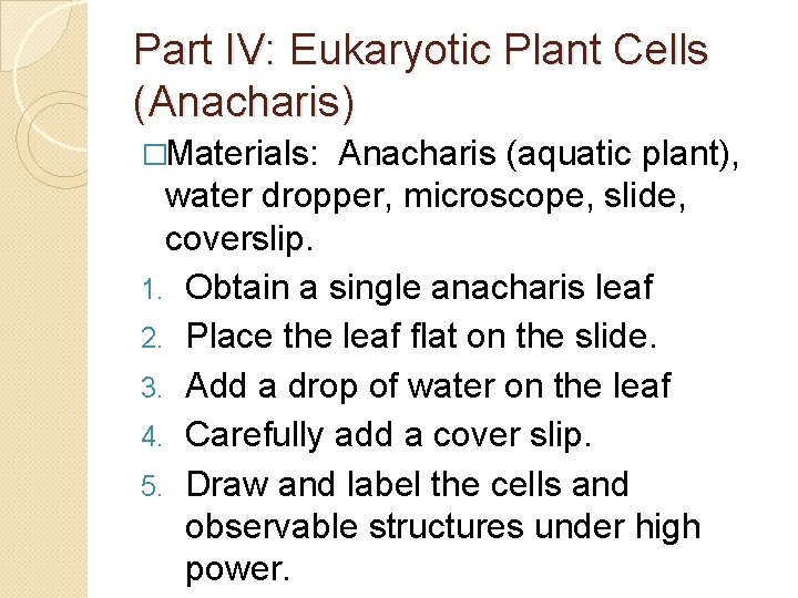 Part IV: Eukaryotic Plant Cells (Anacharis) �Materials: Anacharis (aquatic plant), water dropper, microscope, slide,