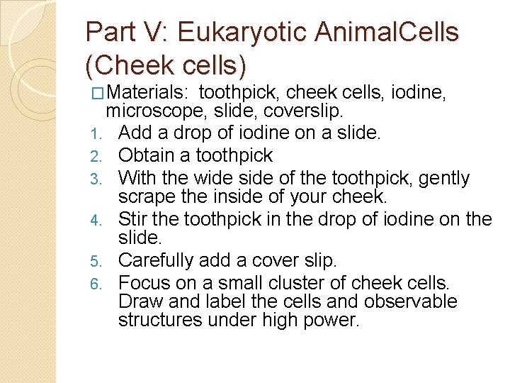Part V: Eukaryotic Animal. Cells (Cheek cells) �Materials: toothpick, cheek cells, iodine, microscope, slide,