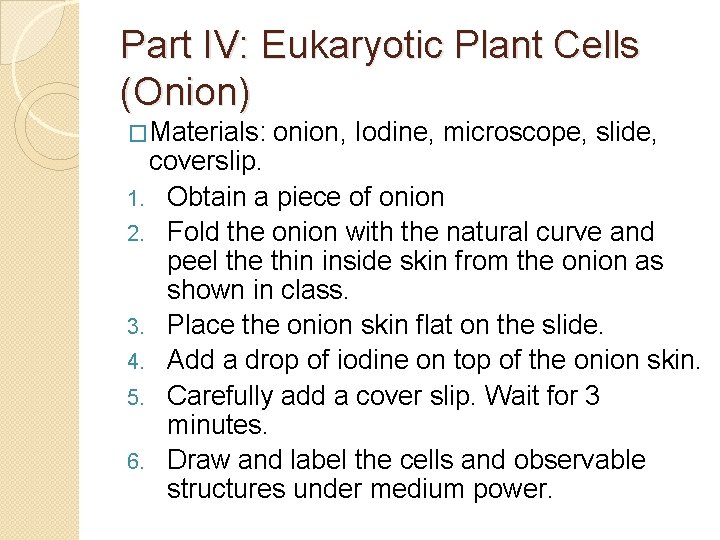 Part IV: Eukaryotic Plant Cells (Onion) �Materials: onion, Iodine, microscope, slide, coverslip. 1. Obtain