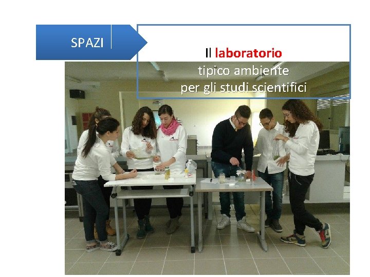 SPAZI Il laboratorio tipico ambiente per gli studi scientifici 