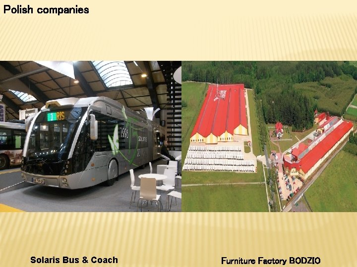 Polish companies Solaris Bus & Coach Furniture Factory BODZIO 