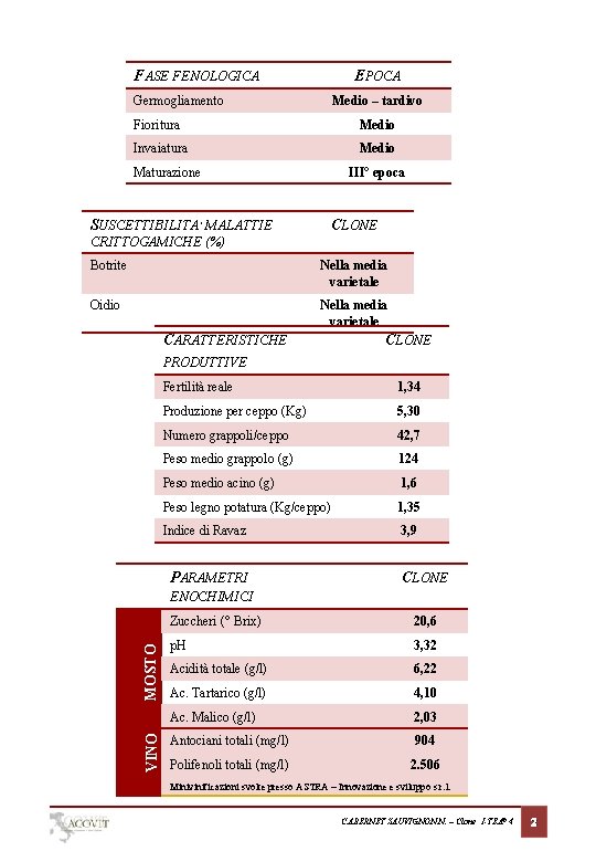 FASE FENOLOGICA EPOCA Germogliamento Medio – tardivo Fioritura Medio Invaiatura Medio Maturazione III° epoca
