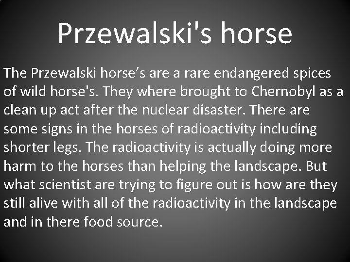Przewalski's horse The Przewalski horse’s are a rare endangered spices of wild horse's. They