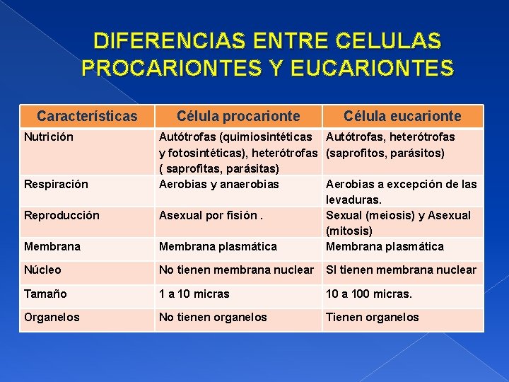 DIFERENCIAS ENTRE CELULAS PROCARIONTES Y EUCARIONTES Características Nutrición Célula procarionte Célula eucarionte Membrana Autótrofas