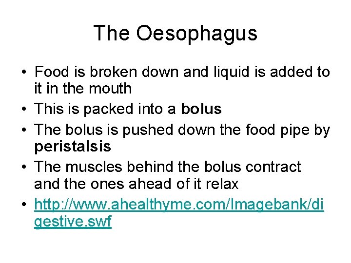 The Oesophagus • Food is broken down and liquid is added to it in