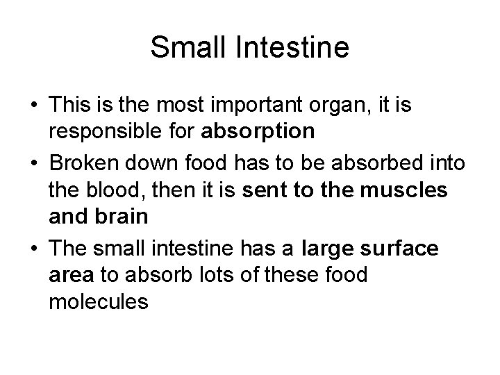 Small Intestine • This is the most important organ, it is responsible for absorption