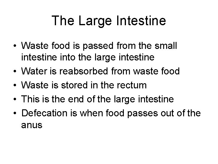 The Large Intestine • Waste food is passed from the small intestine into the