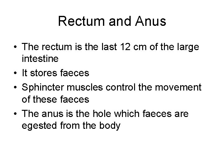 Rectum and Anus • The rectum is the last 12 cm of the large