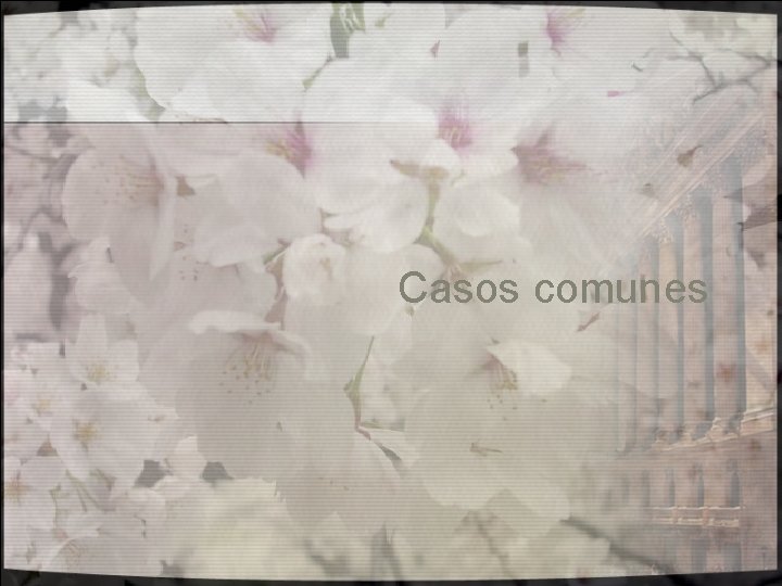 Casos comunes 