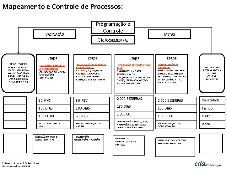 Mapeamento e Controle de Processos: Programação e Controle VACINAÇÃO Etapa PRODUTORES COM BEZERRAS EM