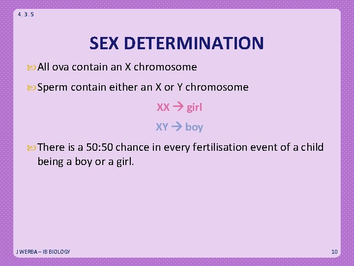 4. 3. 5 SEX DETERMINATION All ova contain an X chromosome Sperm contain either