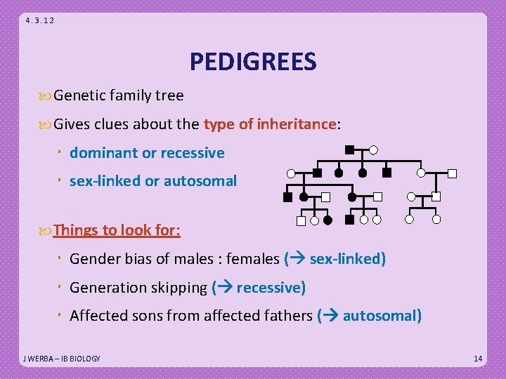 4. 3. 12 PEDIGREES Genetic family tree Gives clues about the type of inheritance: