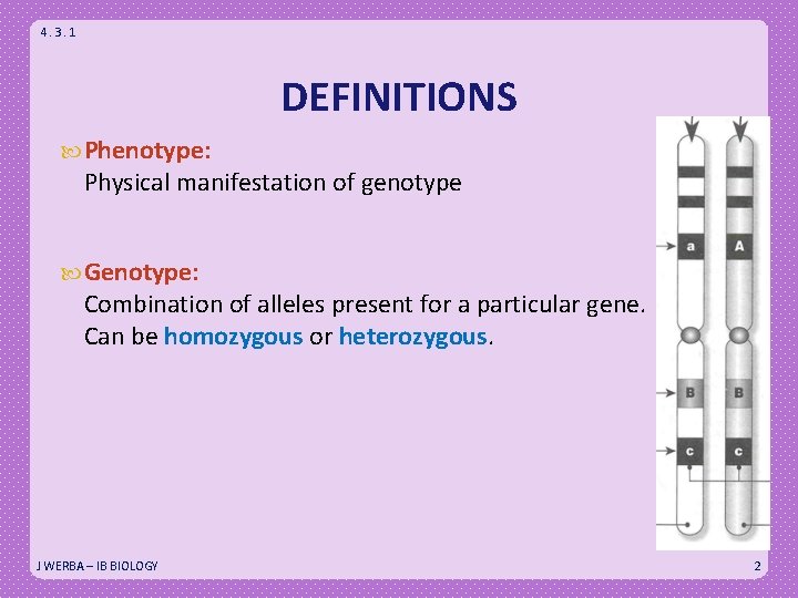 4. 3. 1 DEFINITIONS Phenotype: Physical manifestation of genotype Genotype: Combination of alleles present