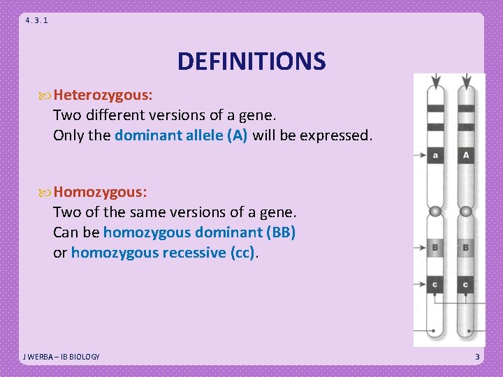 4. 3. 1 DEFINITIONS Heterozygous: Two different versions of a gene. Only the dominant