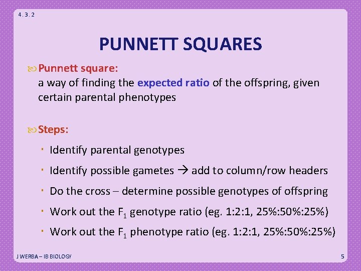 4. 3. 2 PUNNETT SQUARES Punnett square: a way of finding the expected ratio