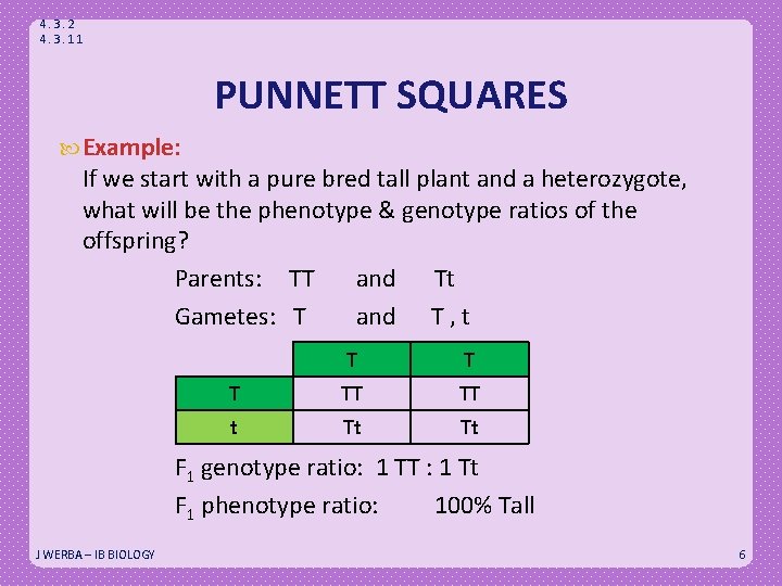 4. 3. 2 4. 3. 11 PUNNETT SQUARES Example: If we start with a