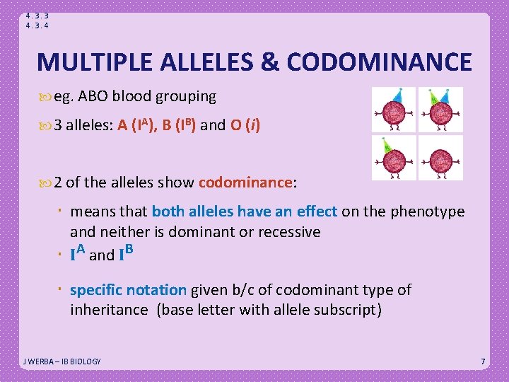 4. 3. 3 4. 3. 4 MULTIPLE ALLELES & CODOMINANCE eg. ABO blood grouping