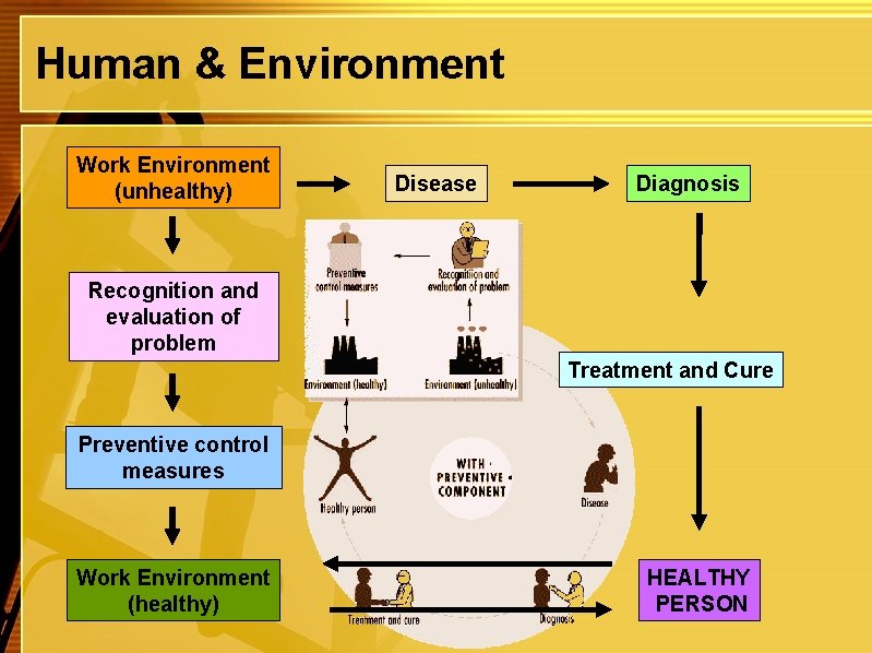Human & Environment Work Environment (unhealthy) Disease Diagnosis Recognition and evaluation of problem Treatment