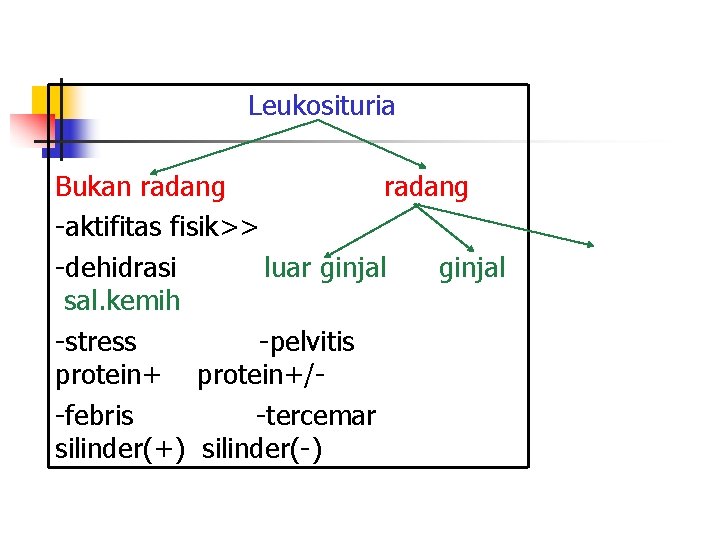 Leukosituria Bukan radang -aktifitas fisik>> -dehidrasi luar ginjal sal. kemih -stress -pelvitis protein+/-febris -tercemar