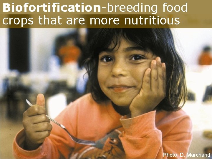 Biofortification-breeding food crops that are more nutritious Photo: D. Marchand 