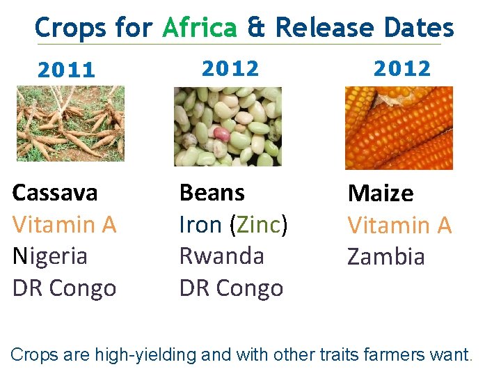 Crops for Africa & Release Dates 20112 2012 Cassava Vitamin A Nigeria DR Congo