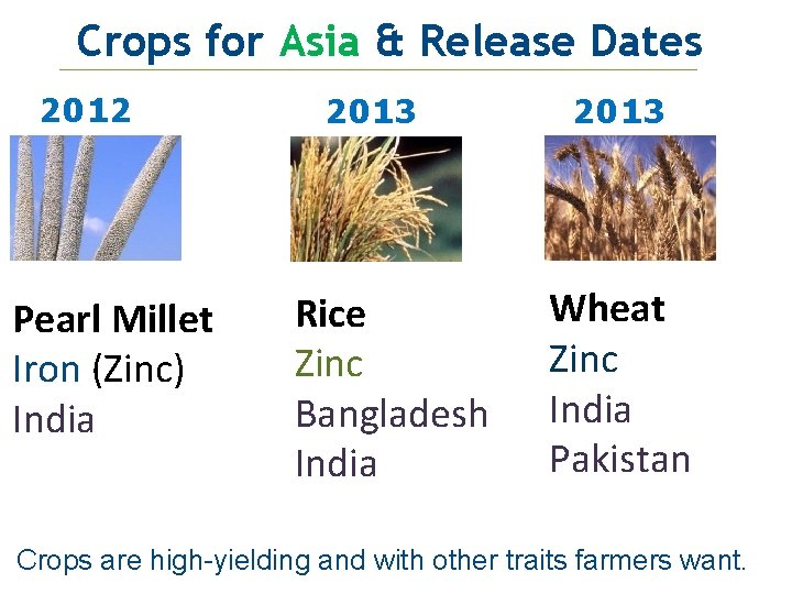 Crops for Asia & Release Dates 20122 Pearl Millet Iron (Zinc) India 20132 Rice