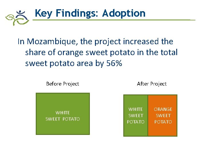 Key Findings: Adoption In Mozambique, the project increased the share of orange sweet potato