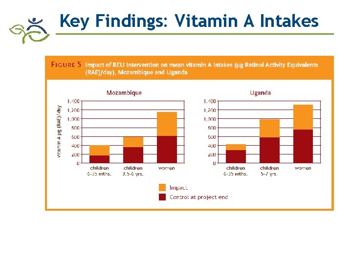 Key Findings: Vitamin A Intakes 