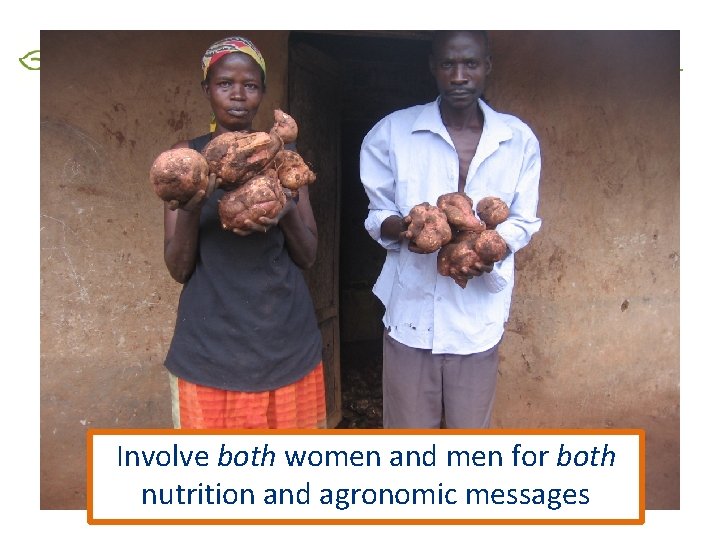 Involve both women and men for both nutrition and agronomic messages 